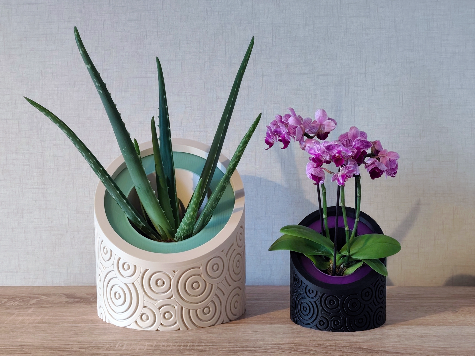 ORBITA TERRA & BLOOM